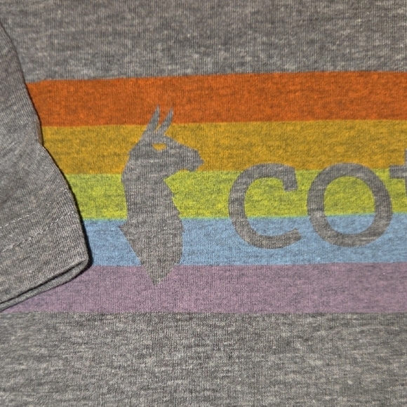 Cotopaxi Gray Tee with Rainbow Stripe - Picture 2 of 4